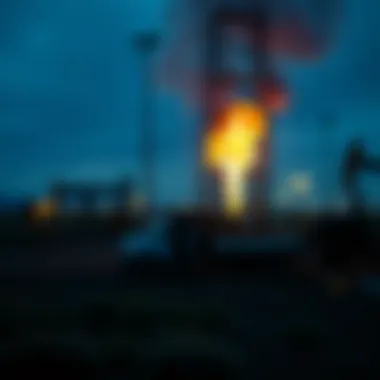 Market landscape for oil royalty purchases