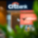 Overview of Citibank's wealth management services