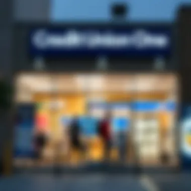 Illustration of financial services offered by Credit Union One