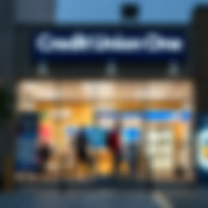 Illustration of financial services offered by Credit Union One