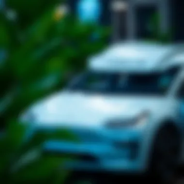 Electric vehicle market overview