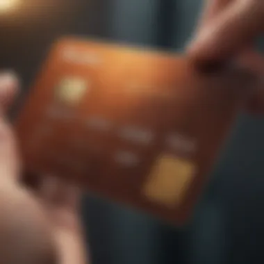 Visual representation of the First Access Visa Card