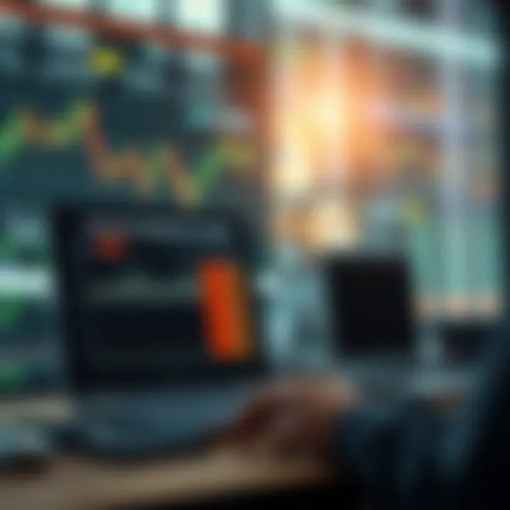 Infographic on the significance of backtesting in investment