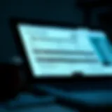 A digital screenshot of a tax extension form