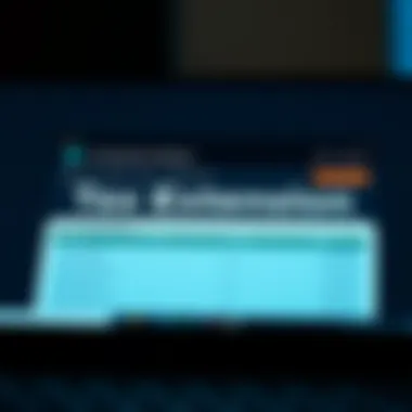 A user-friendly interface of a tax extension software