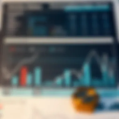 An analytical breakdown of ownership rates across investment categories.