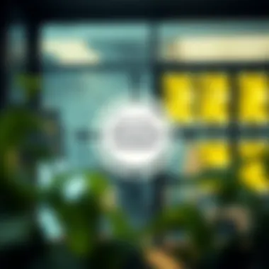 Diagram of investor appeal elements